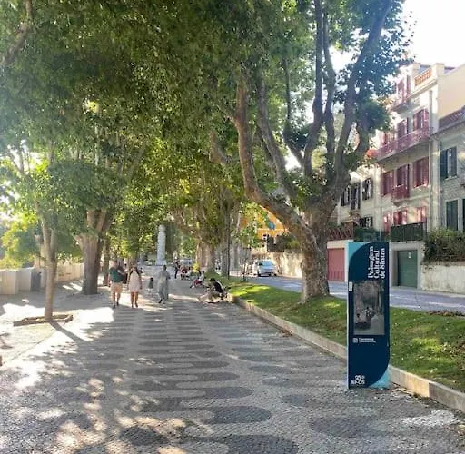 Apartament Classica *